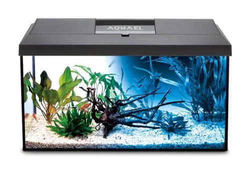 AquaE l| LEDDY 60 / 54L/60x30x30cm fekete