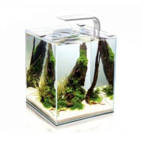   Aquael Shrimp Set Smart Day&Nnight 10 white | Nano akvárium (fehér) garnélarákoknak és kisebb halaknak - 20x20x25 cm
