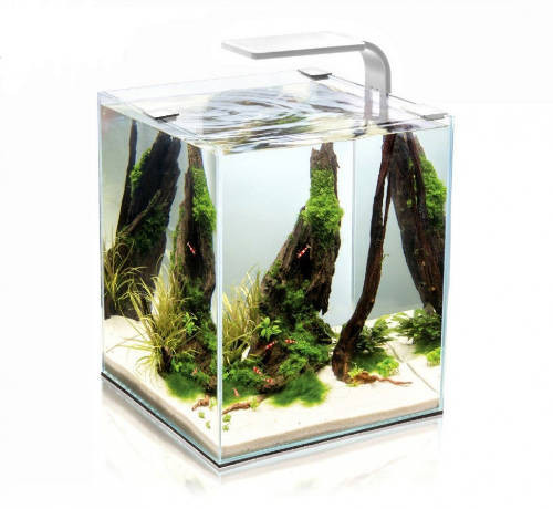 Aquael Shrimp Set Smart Day&Nnight 10 white | Nano akvárium (fehér) garnélarákoknak és kisebb halaknak - 20x20x25 cm