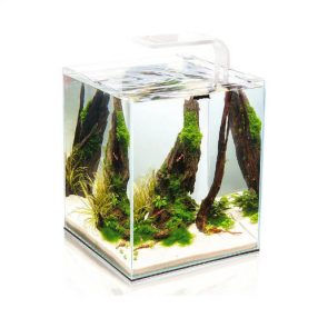   Aquael Shrimp Set Smart Day&Nnight 30 black | Nano akvárium (fehér) garnélarákoknak és kisebb halaknak - 29x29x35 cm