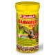 Dajana Gammarus Sticks | Granulátum teknősök részére - 250ml
