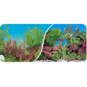 JK | Akváriumi háttér  - 60 cm/15 m