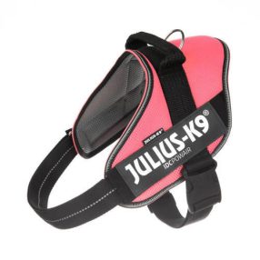   Julius-K9 | IDC Powair | Hám (pink,felirat) kutyák részére - 2XL
