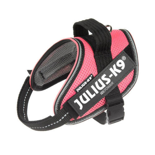 Julius-K9 |  IDC Powair | Hám (pink,felirat) kutyák részére - XS