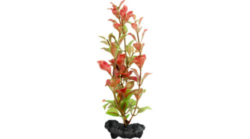 Tetra Decoor Plant | Műnövény (Red Ludwiga) akváriumokba (M) - 23 cm