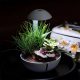 Chihiros | Tiny Terrarium Egg – Mini növényinstallációkhoz és mohakompozíciókhoz készült LED terrárium (10 W, 550 lm)