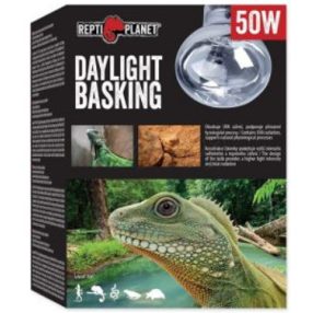   Repti Planet Daylight Basking Spot | Nappali sütkérező izzó - 50 W