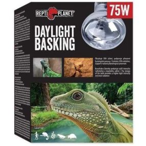   Repti Planet Daylight Basking Spot | Nappali sütkérező izzó - 75 W