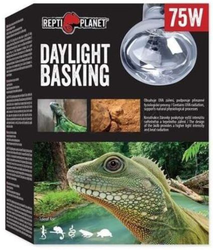 Repti Planet Daylight Basking Spot | Nappali sütkérező izzó - 75 W