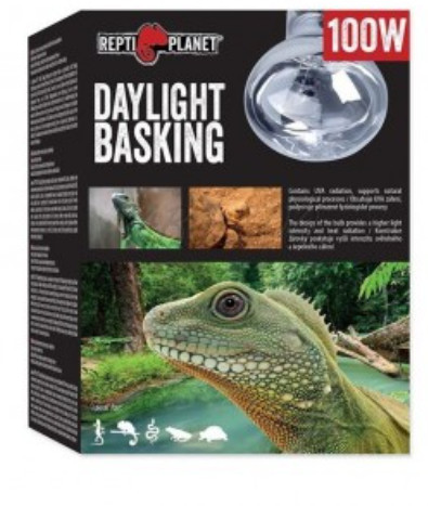 Repti Planet Daylight Basking Spot | Nappali sütkérező izzó - 100 W