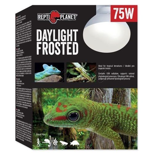 Repti Planet Daylight Frosted | Nappali izzó - 75 W