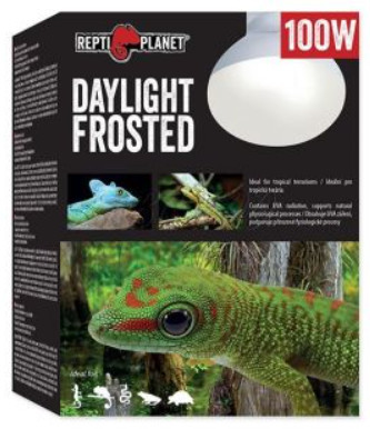 Repti Planet Daylight Frosted | Nappali izzó - 100 W