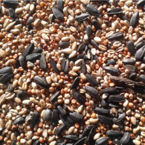 Trópus Mag | Téli vadmadár eleség 10 kg