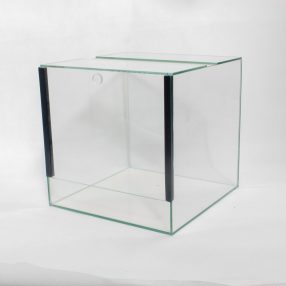   15 x 15 x 15 cm | Prémium minőségű terrárium | Háttér nélküli