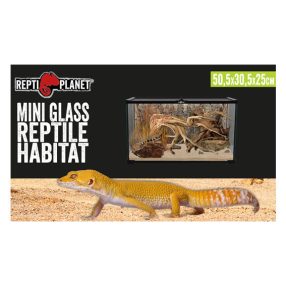   Repti Planet Mini Glass Reptile Habitat | Paludárium - 50.5 x 30.5 x 25 cm