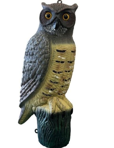 SuperFish | DECO BIRD OWL | Dekoráció, bagoly