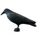 SuperFish | DECO BIRD CROW | Dekoráció holló