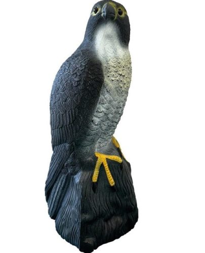 SuperFish | DECO BIRD FALKON | Dekoráció, sólyom