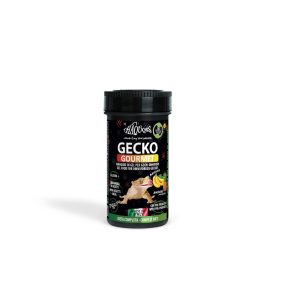   Haquoss | Gecko Gourmet Banana & Ananas | Banán és ananász táp gekkók számára - 250 ml