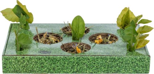 Trixie Snack Bar | Karton tányér – 28×3,8×18 cm