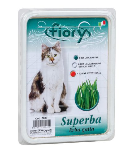 Fiory | Superba (grass for cats) - Fű macskáknak