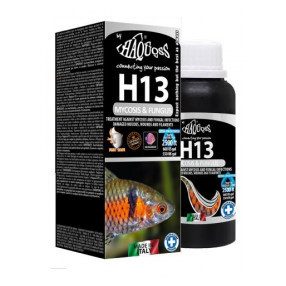   Haquoss | H13 Mycosis | Folyékony készítmény gombás fertőzések kezelésére édesvízi és tengeri díszhalaknál – 100 ml