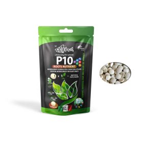   Haquoss | P10 - ROOTS NUTRIENT | Speciálisan kifejlesztett tápanyagtabletta - 30 db