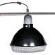 Trixie Reflector Clamp Lamp with safety guard | Biztonsági lámpabúra - 150 W