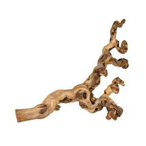   Trixie Grape Vine | Homokfúvott mászó szőlőinda terráriumi állatok részére – 55–80 cm