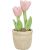 Trixie | Tulip Plush – plüss kutyajáték tulipános – 27 cm