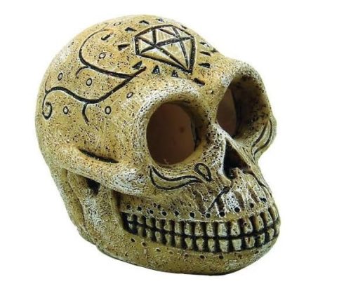 SuperFish | SKULL MONKEY | Majom koponya - 8x6x6 cm