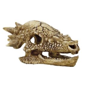 SuperFish | SKULL T REX | T-Rex, koponya M - 15x11x8 cm