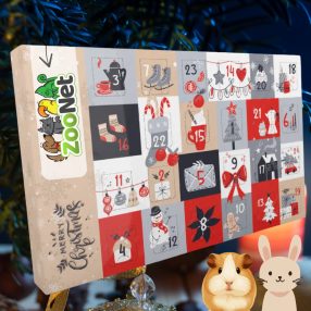   Adventi naptár kisemlősöknek – Egyedileg összeállított, természetes karácsonyi finomságokkal