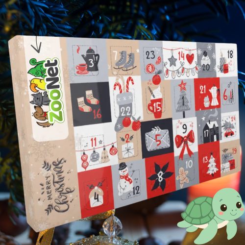 Adventi naptár vízi teknősöknek – Egyedileg összeállított ünnepi finomságválogatás