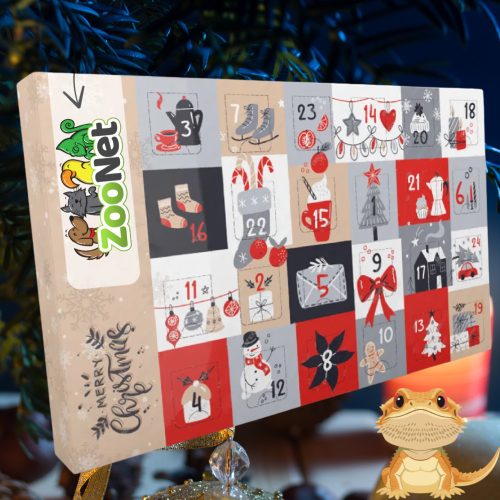 Adventi naptár szakállas agámáknak – Egyedileg összeállított természetes finomságokkal