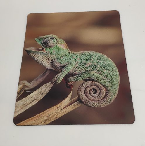 Egérpad | bébi kaméleon mintával – 25x20 cm
