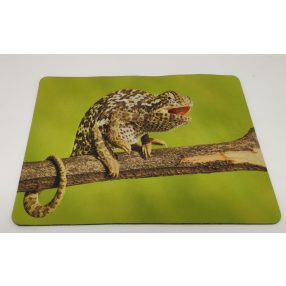   Egérpad | kaméleon mintával – zöld háttér - 21,5x18 cm