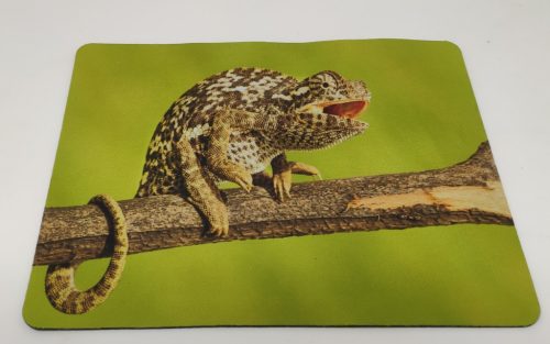 Egérpad | kaméleon mintával – zöld háttér - 21,5x18 cm