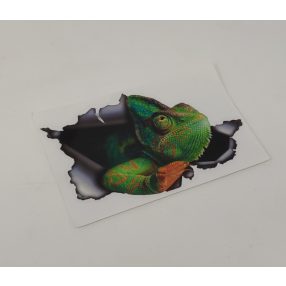 Kaméleonos 3D hatású matrica