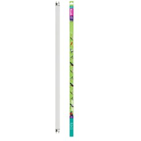  Arcadia | BIRD LAMP T8 | UVB fénycső a D3-vitamin termelés támogatásához díszmadarak számára 2.4% - 30 W/90 cm