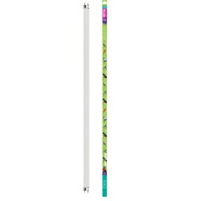   Arcadia | BIRD LAMP T8 | UVB fénycső a D3-vitamin termelés támogatásához díszmadarak számára 2.4% – 36 W/120 cm