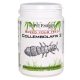 The Pet Factory Collembolafix 2 | Prémium ugróvillás eleség és tenyésztő táp – 150 g