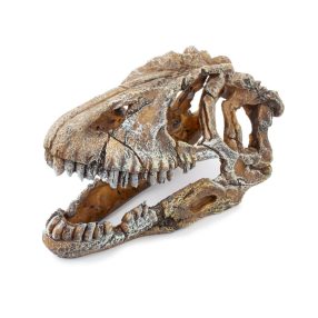 Dophin | dekor dinókoponya nagy - 17x8x9cm