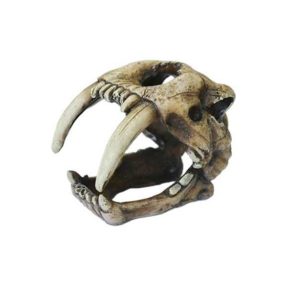 Dophin | dekor kardfogú -10cm