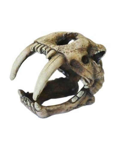 Dophin | dekor kardfogú -10cm