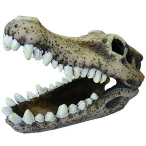 Dophin |dekor krokodilfej - 11cm