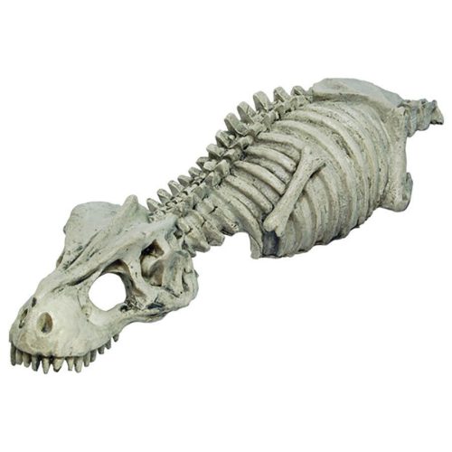 RepStyle Dinosaur Skeleton | T-rex csontváz