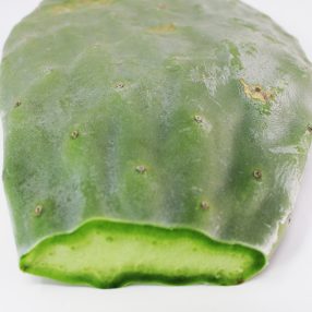   Fügekaktusz hajtás | tüske nélkül - növényevő hüllők részére ~ 350 g /Fél