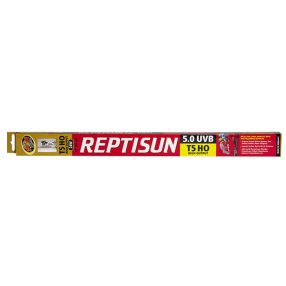   Zoo Med Repti Sun | UVB Fénycső – T5 5% (5.0) | 300 mm - 15 W