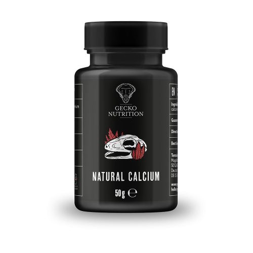 Gecko Nutrition Natural Calcium | Kalcium por hüllők részére - 50 g